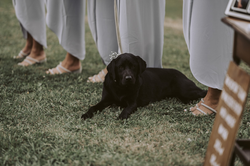 New Zealand Wedding Photographer David Le Design & Photography