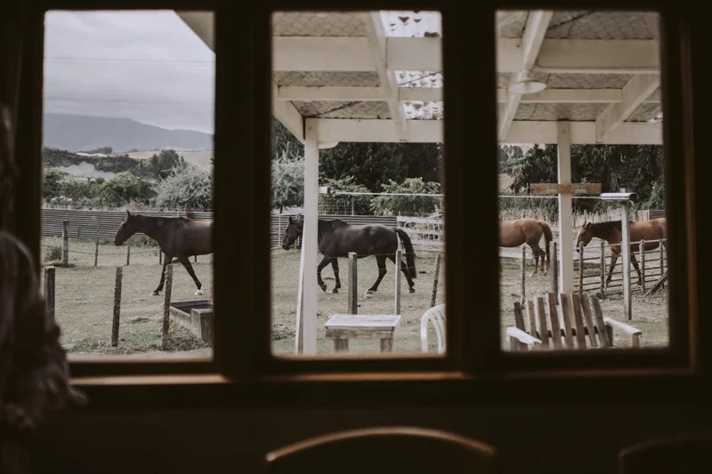 New Zealand Wedding Photographer David Le | www.davidle.co.nz