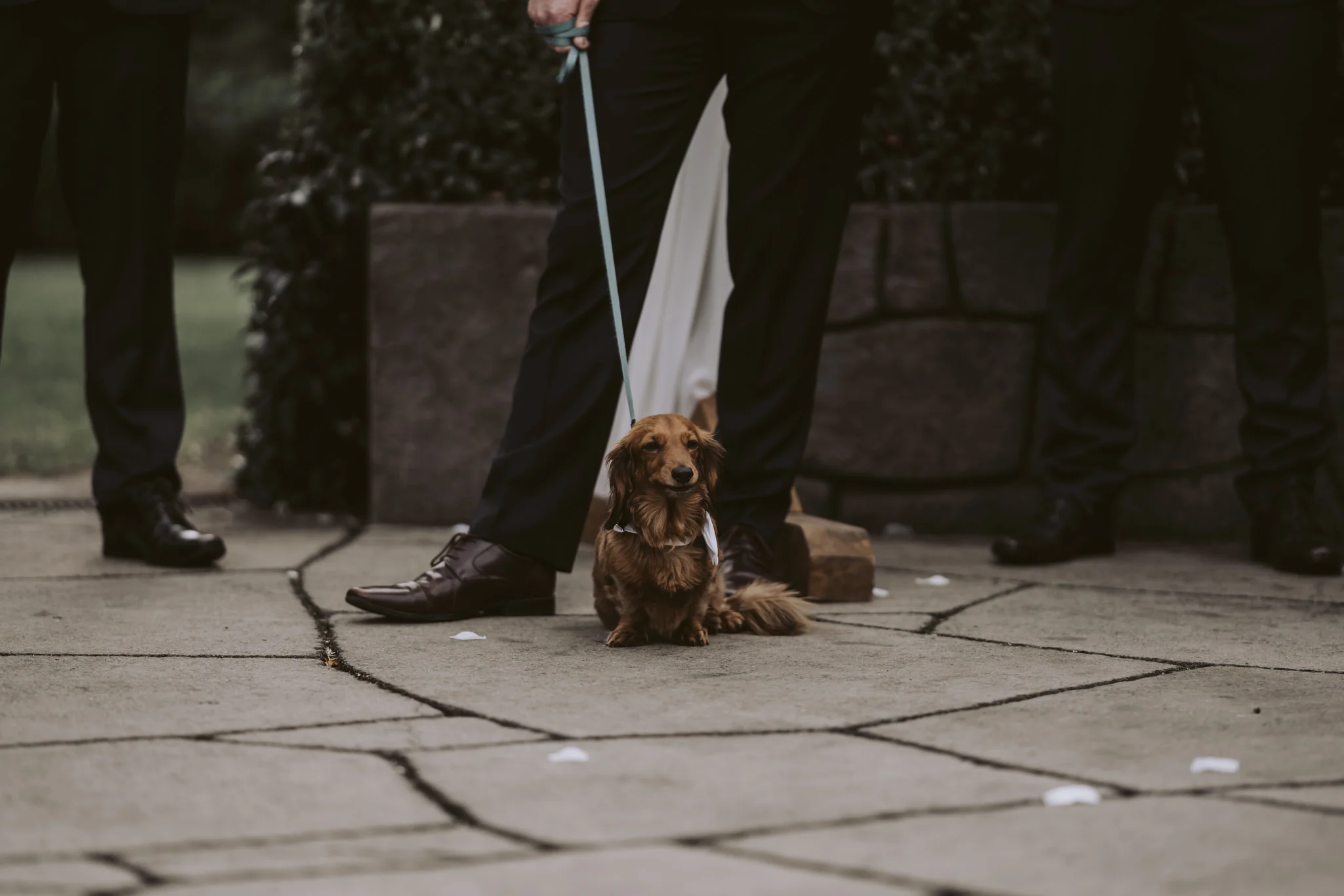 New Zealand Wedding Photographer David Le | www.davidle.co.nz