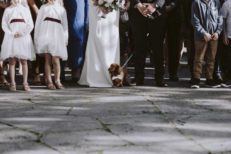 New Zealand Wedding Photographer David Le | www.davidle.co.nz