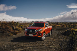 New Zealand Wedding Photographer David Le Design & Photography