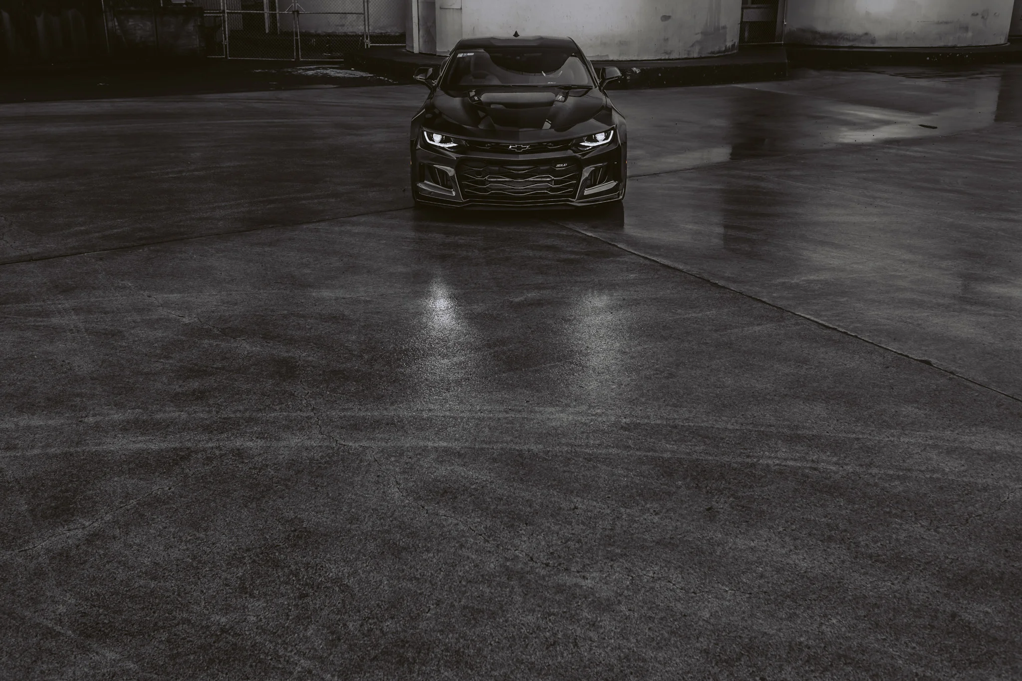 New Zealand Wedding Photographer David Le | www.davidle.co.nz