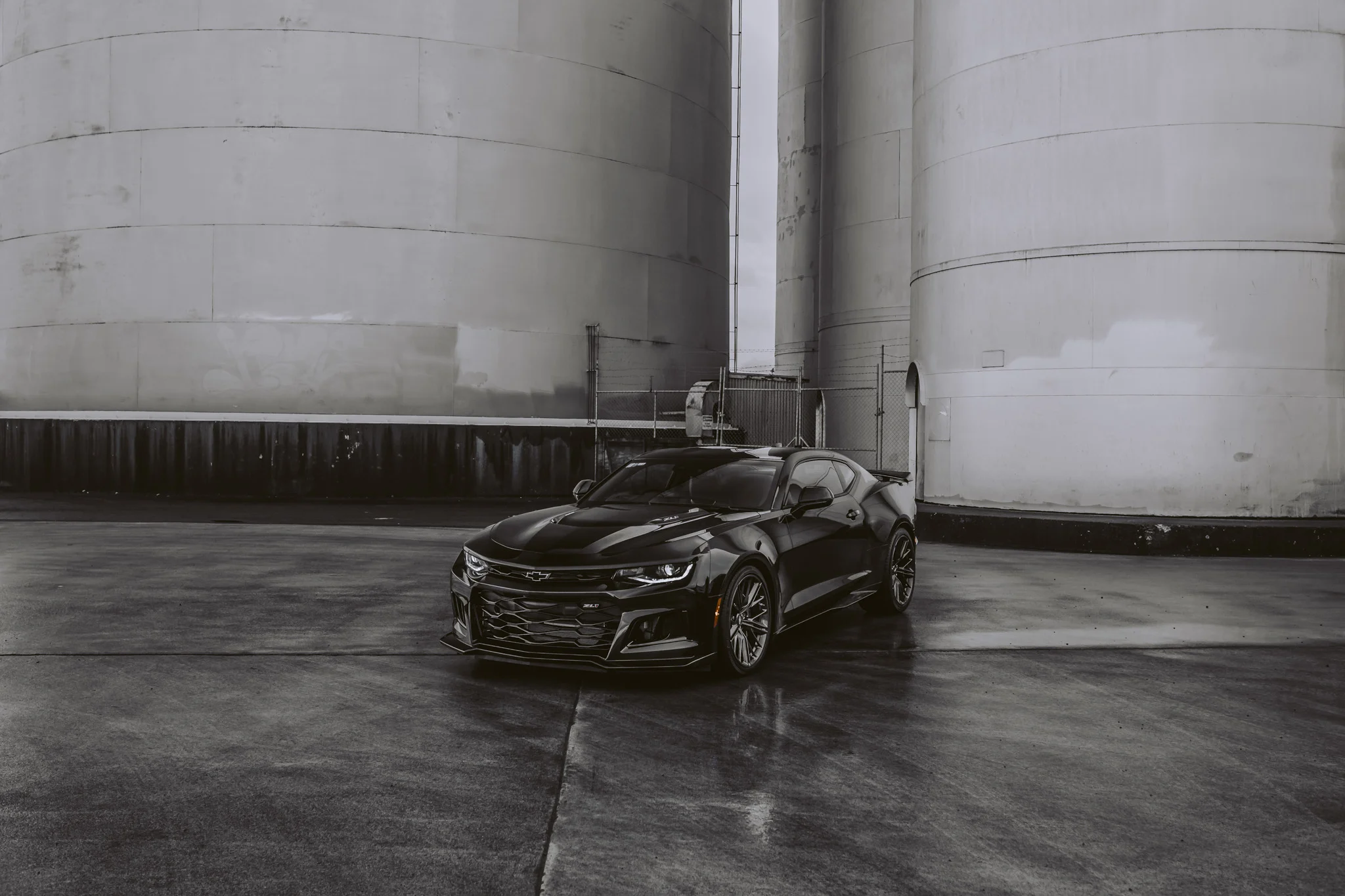 New Zealand Wedding Photographer David Le | www.davidle.co.nz