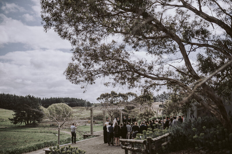 New Zealand Wedding Photographer David Le | www.davidle.co.nz