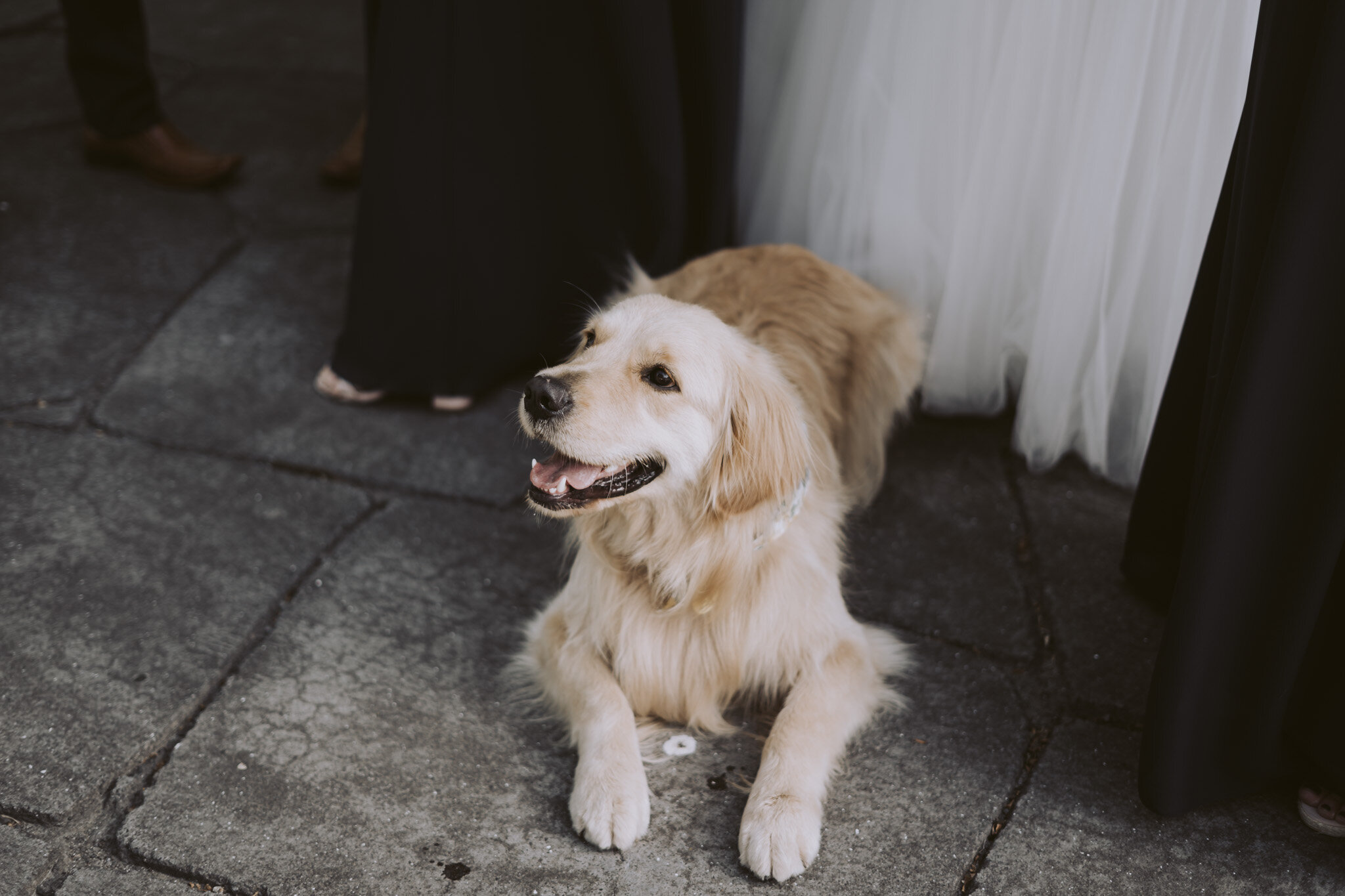 New Zealand Wedding Photographer David Le | www.davidle.co.nz