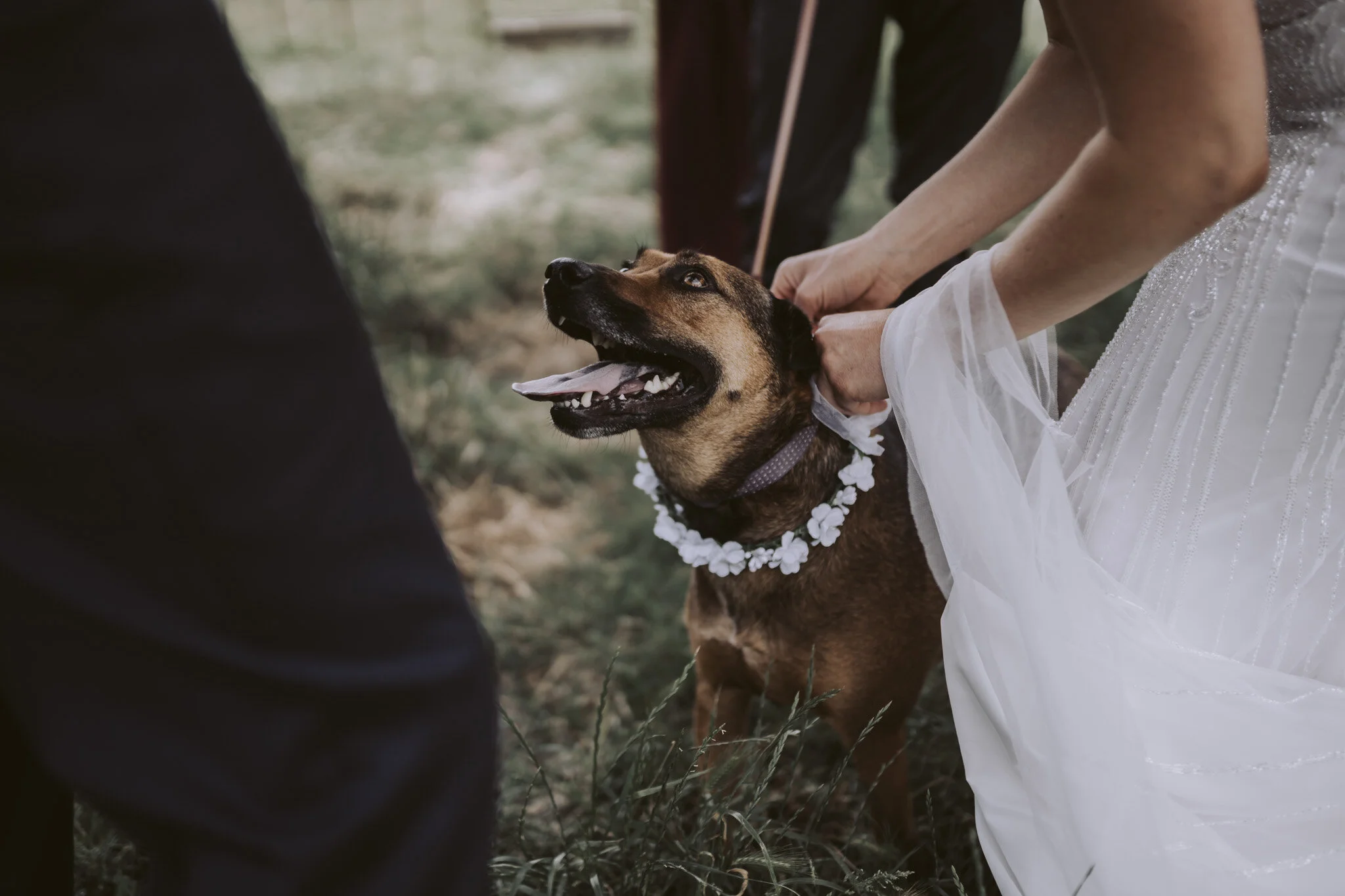 New Zealand Wedding Photographer David Le | www.davidle.co.nz
