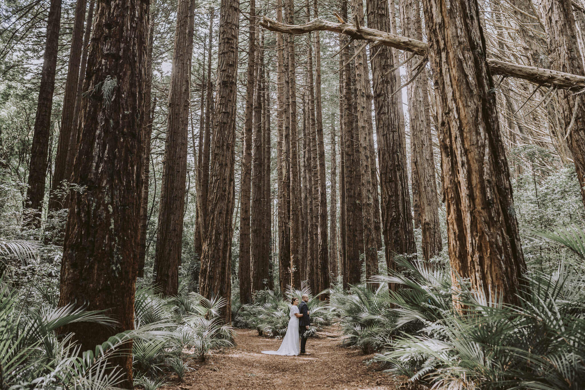 New Zealand Wedding Photographer David Le | www.davidle.co.nz