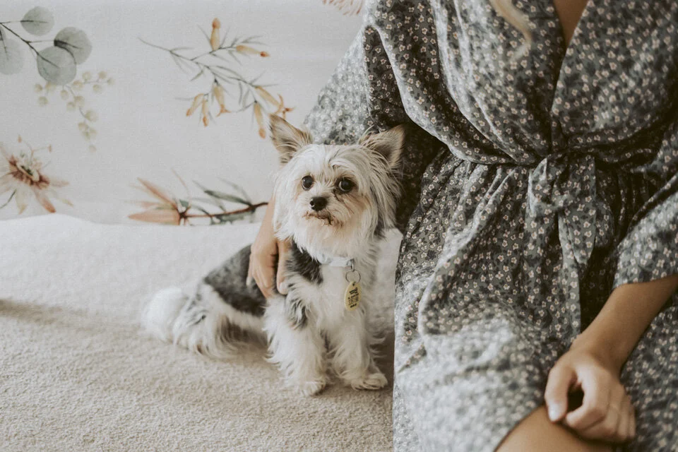 New Zealand Wedding Photographer David Le | www.davidle.co.nz