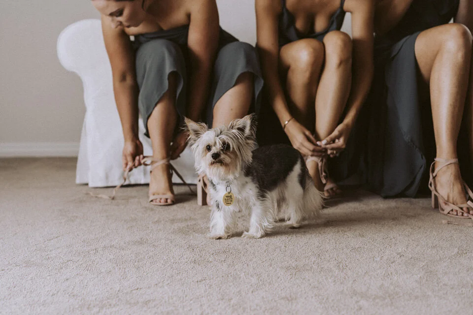 New Zealand Wedding Photographer David Le | www.davidle.co.nz