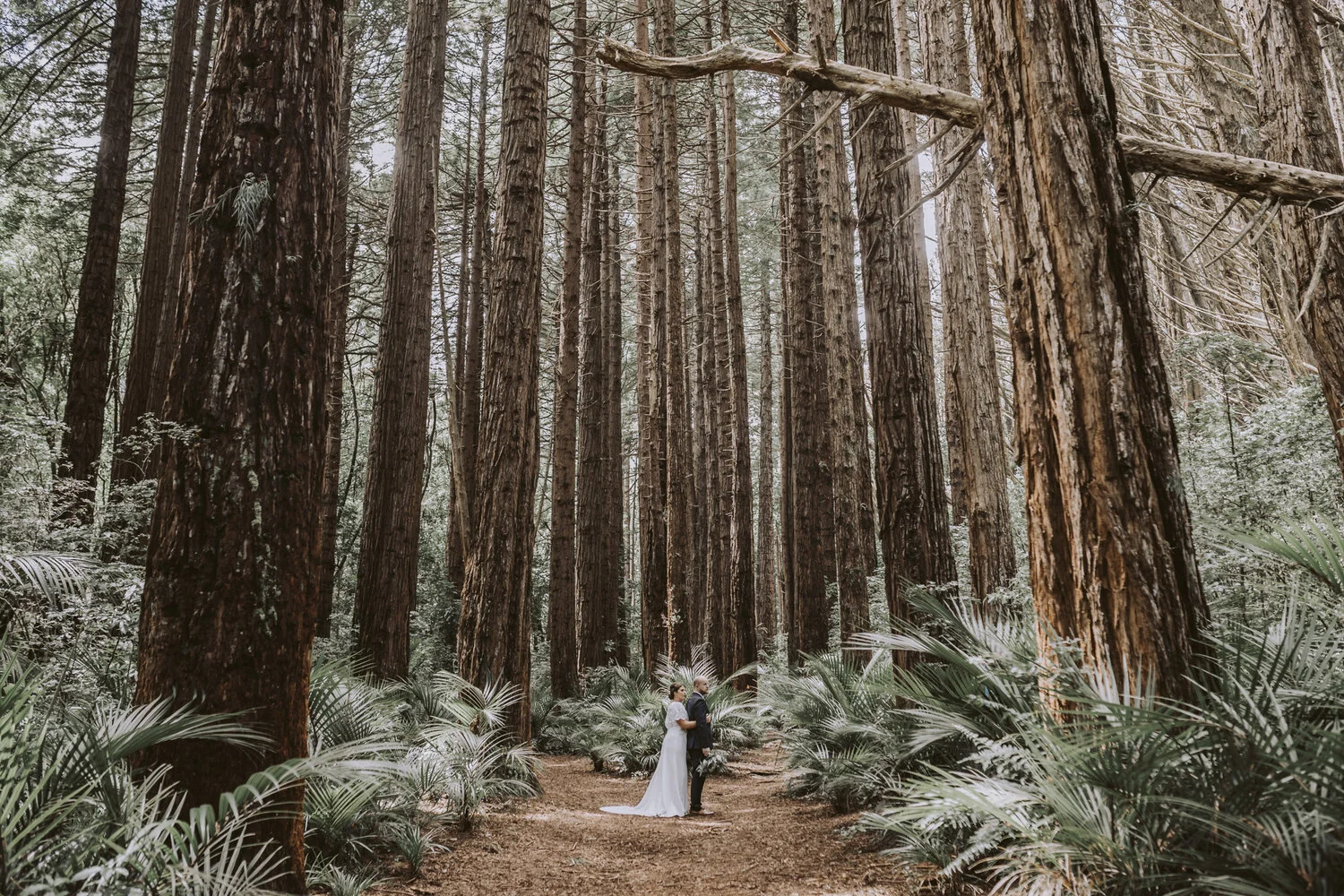 New Zealand Wedding Photographer David Le | www.davidle.co.nz