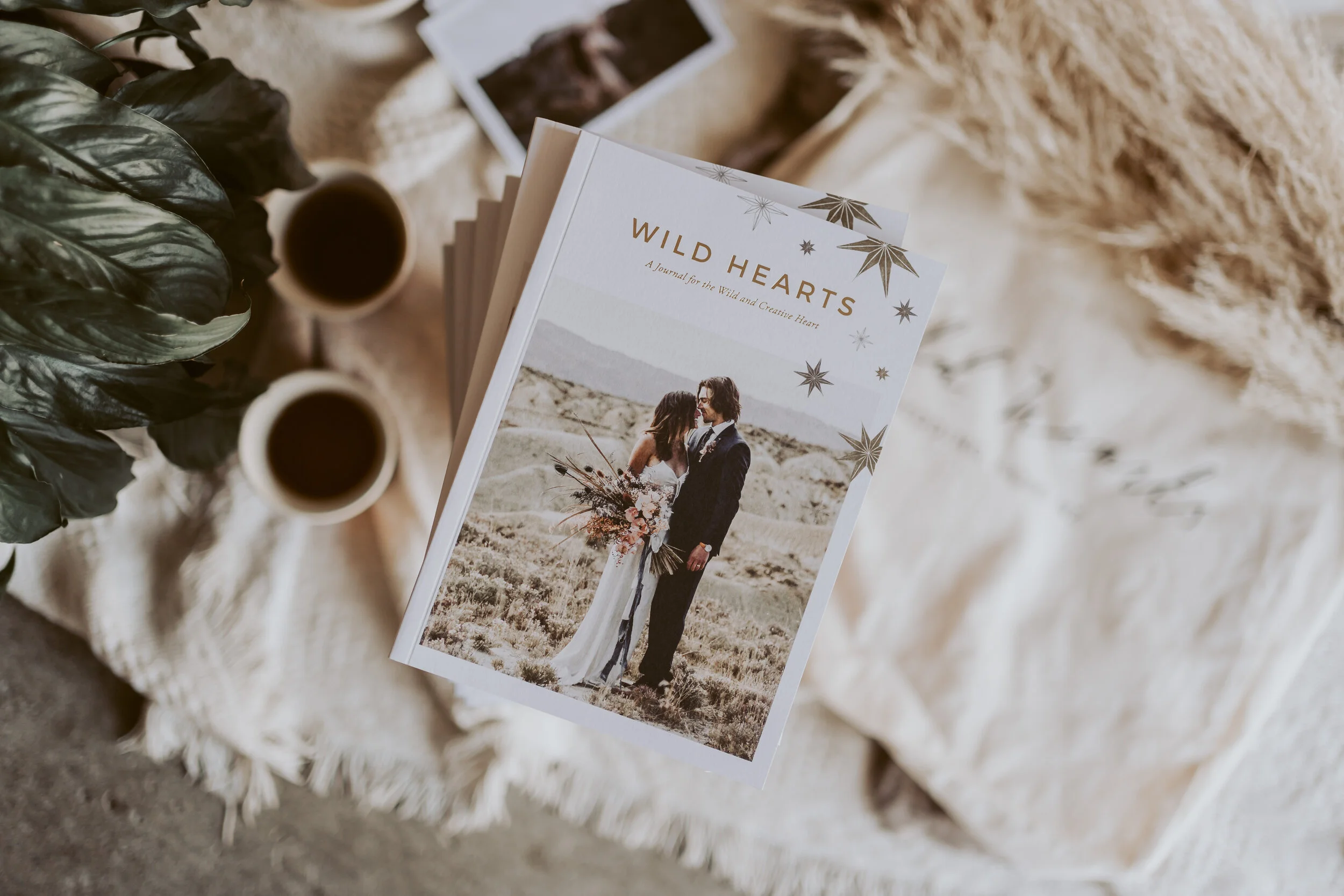 New Zealand Wedding Photographer David Le | www.davidle.co.nz