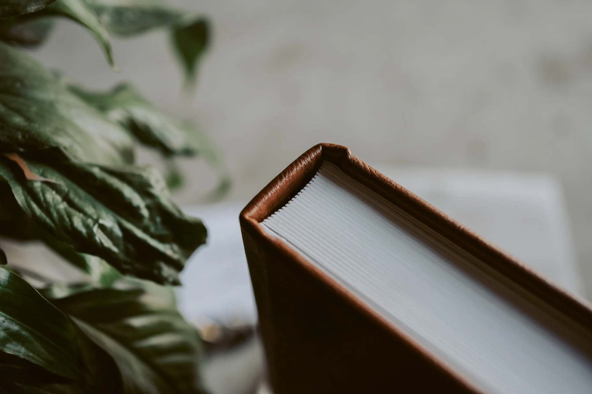 New Zealand Wedding Photographer David Le | www.davidle.co.nz