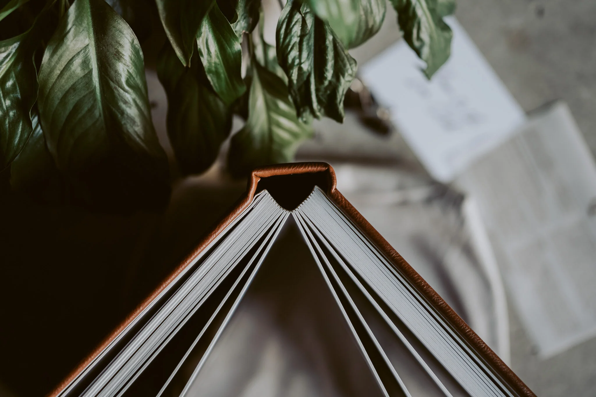 New Zealand Wedding Photographer David Le | www.davidle.co.nz