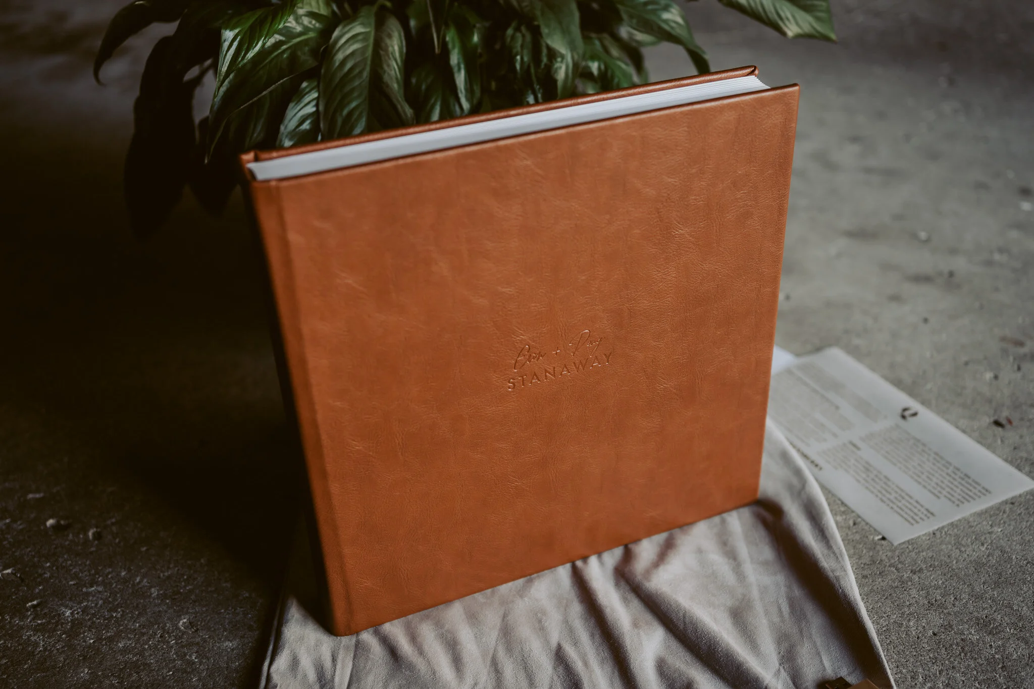 Queensberry Fine Art Flush Mount album in Tan.