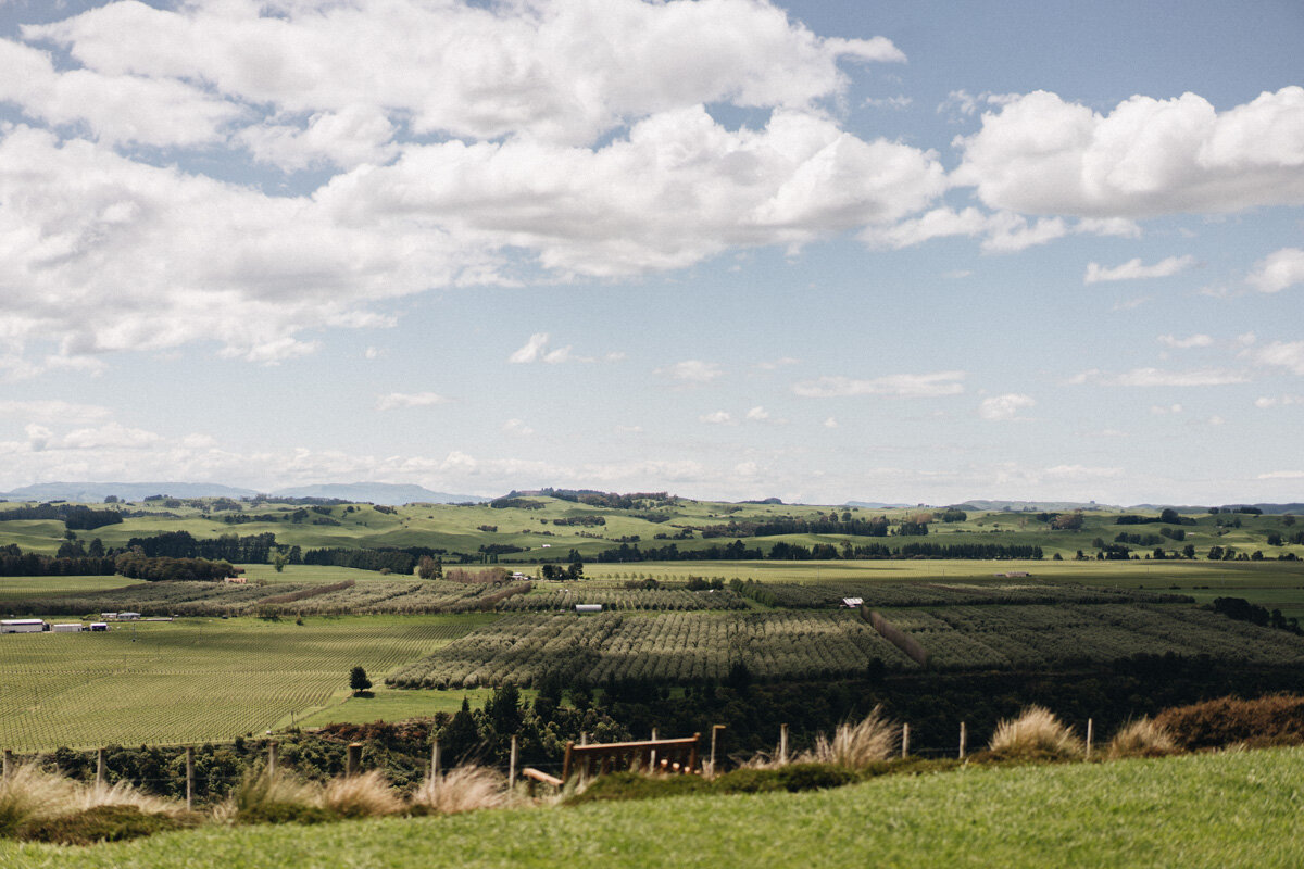 New Zealand Wedding Photographer David Le | www.davidle.co.nz