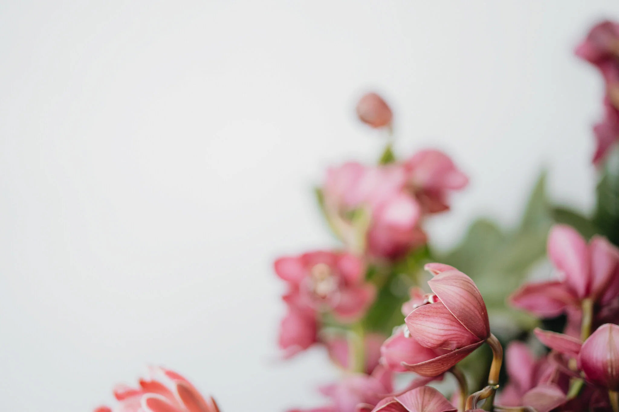 Wellingtons best wedding florist The Wild Flower Wellington Florist