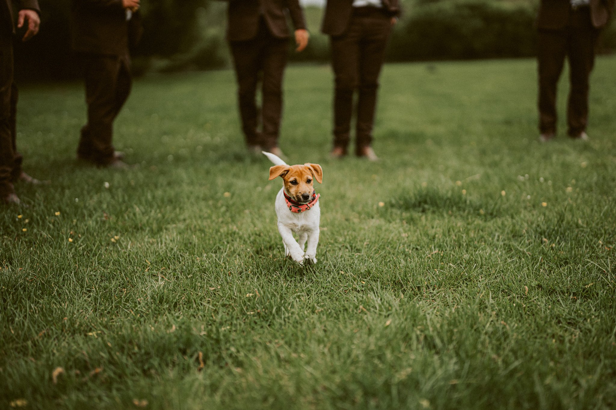 New Zealand Wedding Photographer David Le | www.davidle.co.nz