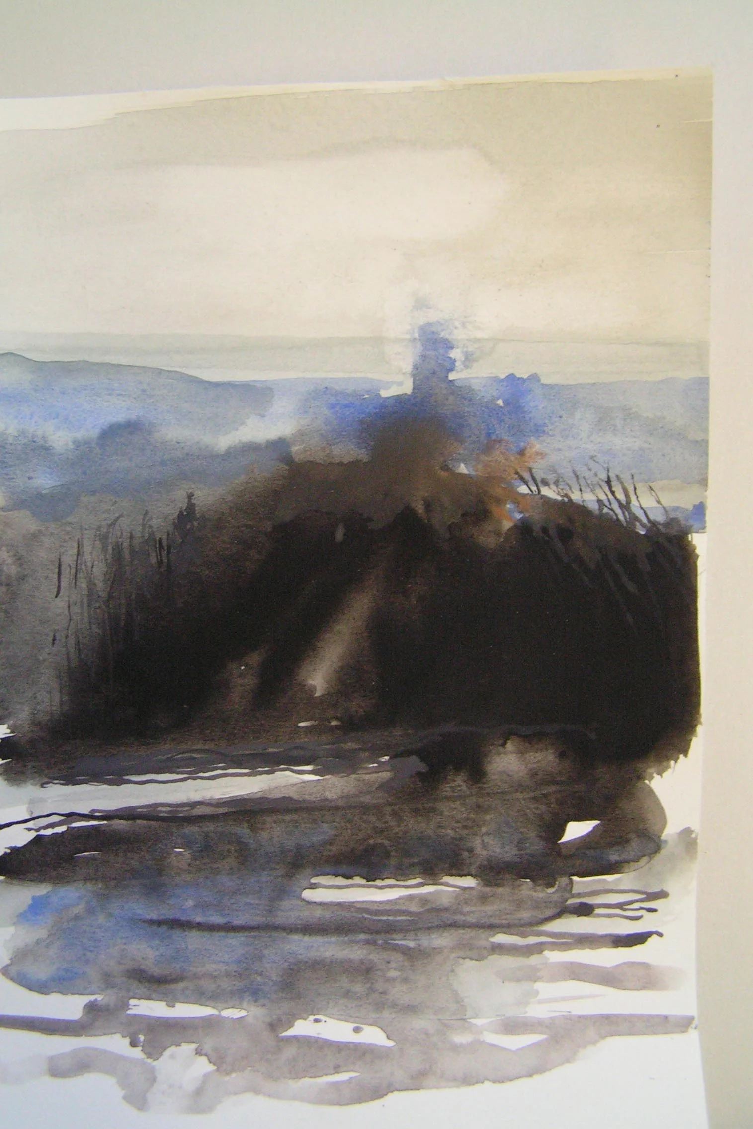 Study