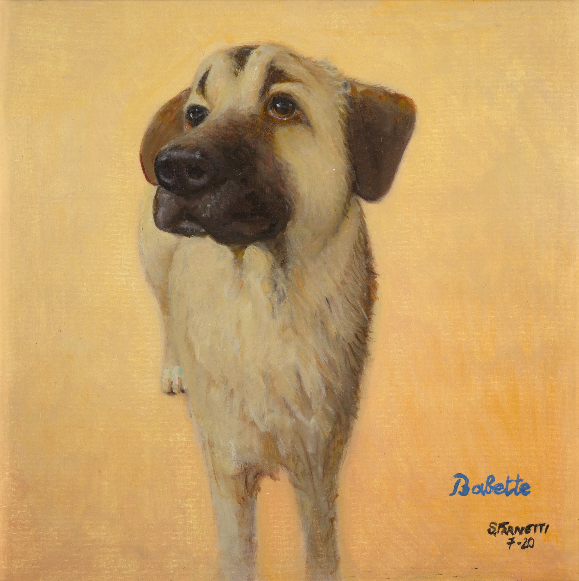 Babette, 2020. Stefano Farnetti