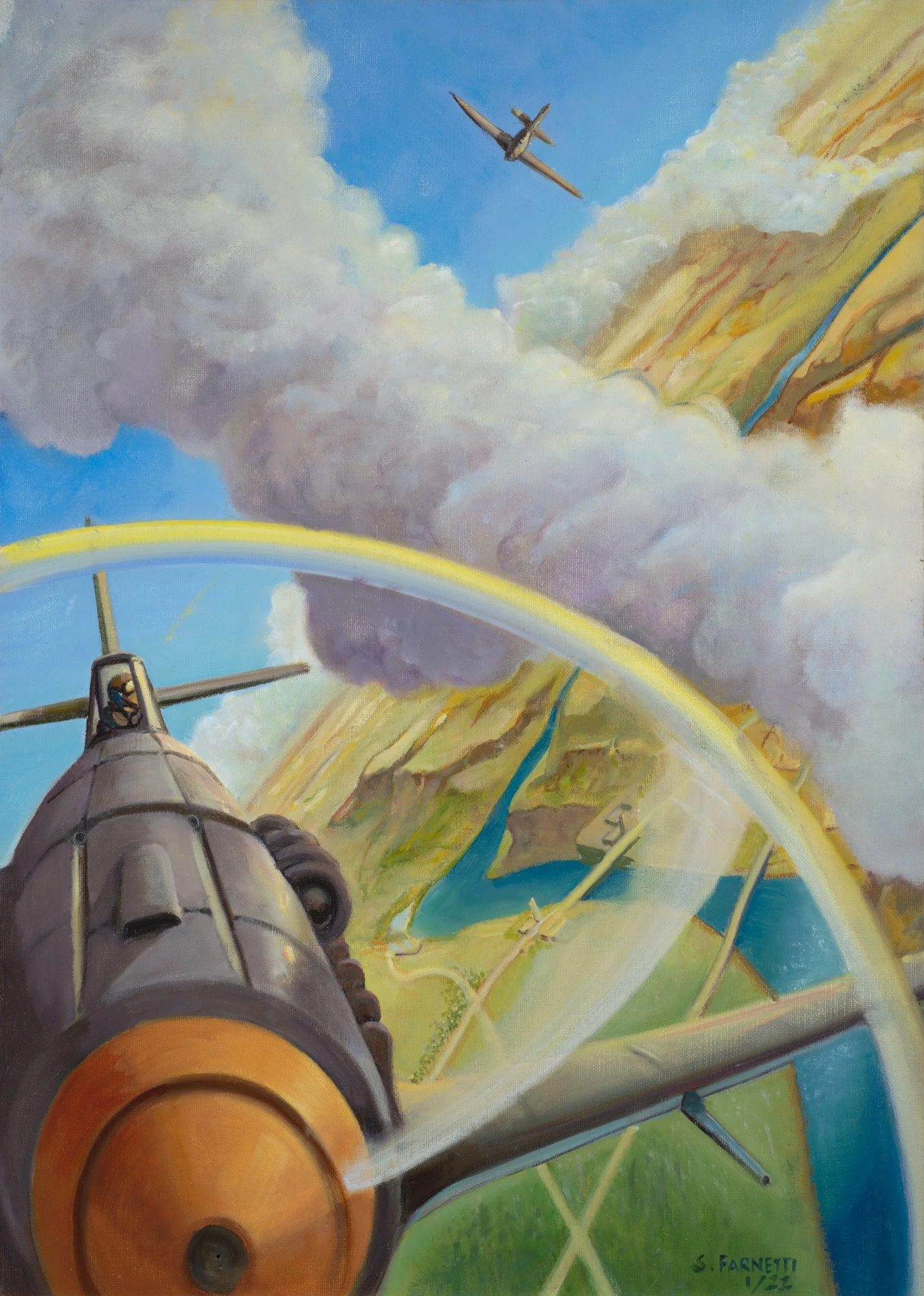 2022_Dog Fight_2022_Stefano Farnetti_srgb.jpg