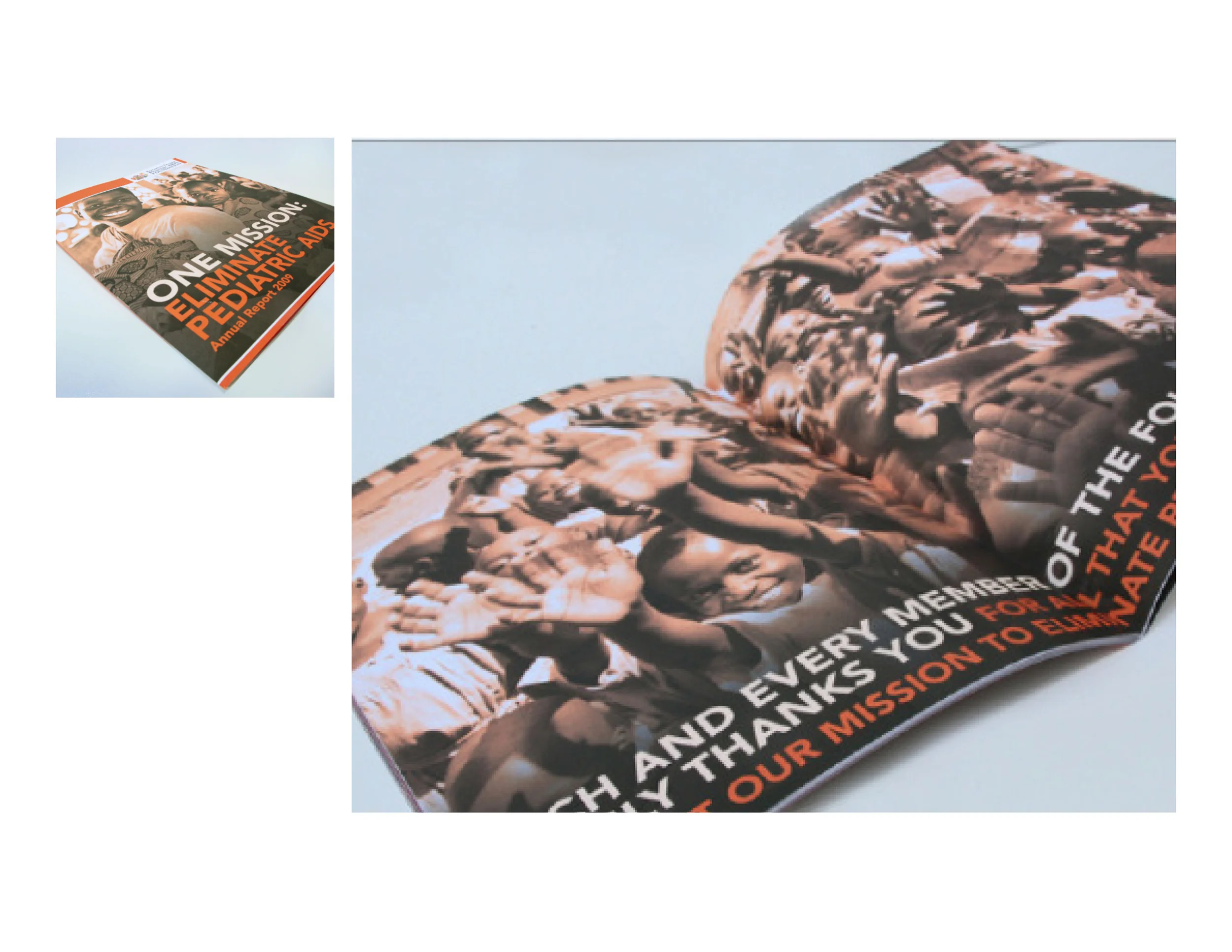 Annual Reports 2009-2013