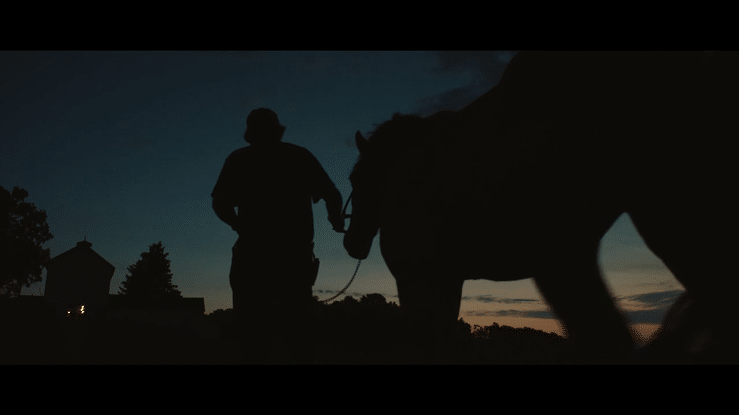 Rochester Health (Dir. Cut)-high.gif