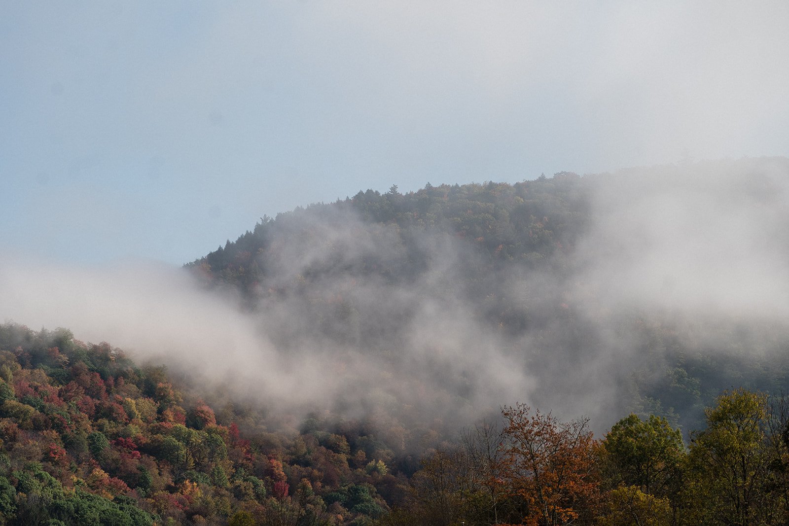 MTB06140_websize.jpg