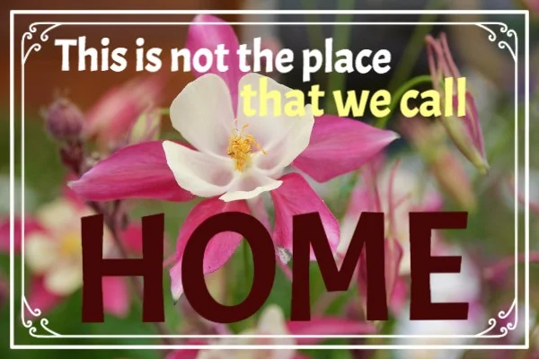 This is not the place that we call Home.jpg