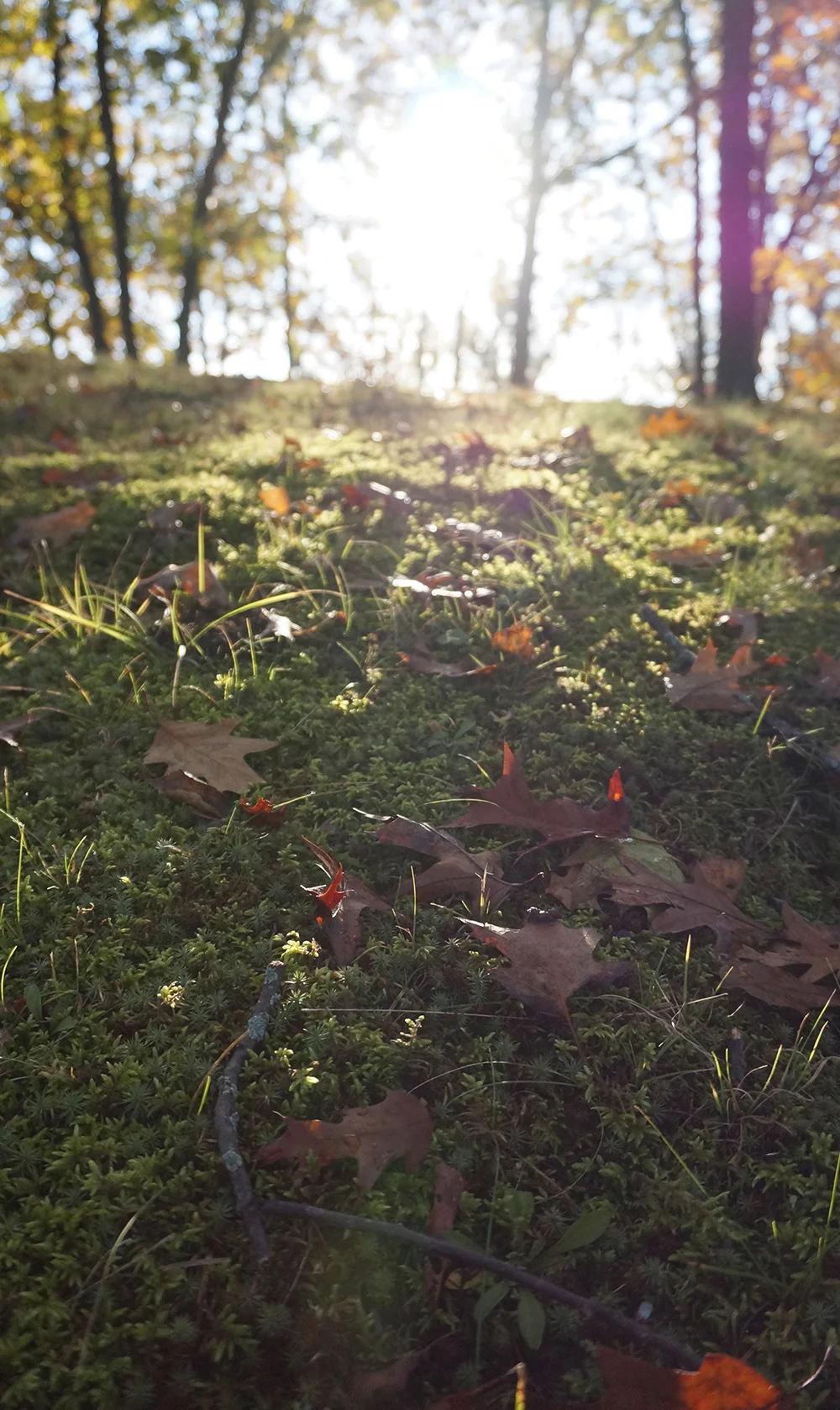 Weir Cottage – Thanksgiving 2013