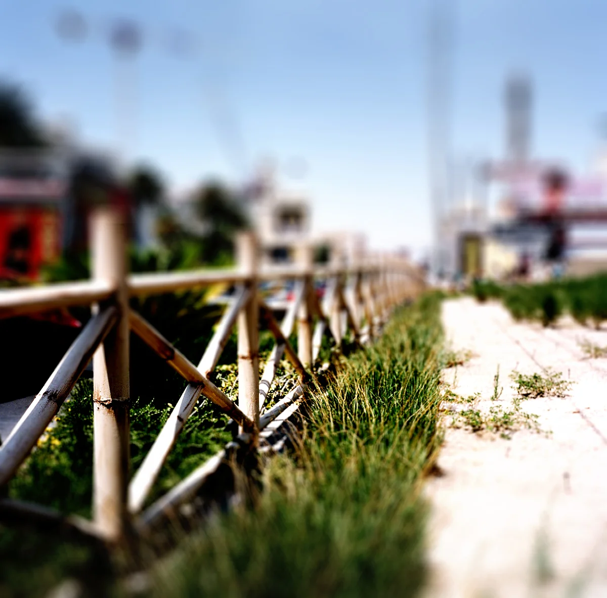 803353801_faea615906_o.jpg