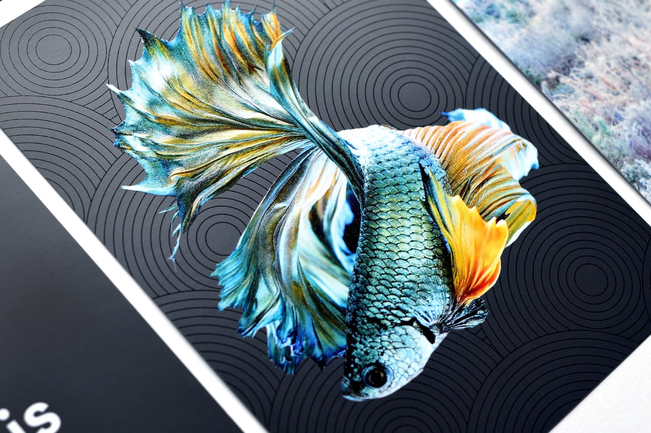 SP Elevate Your Impact.jpg