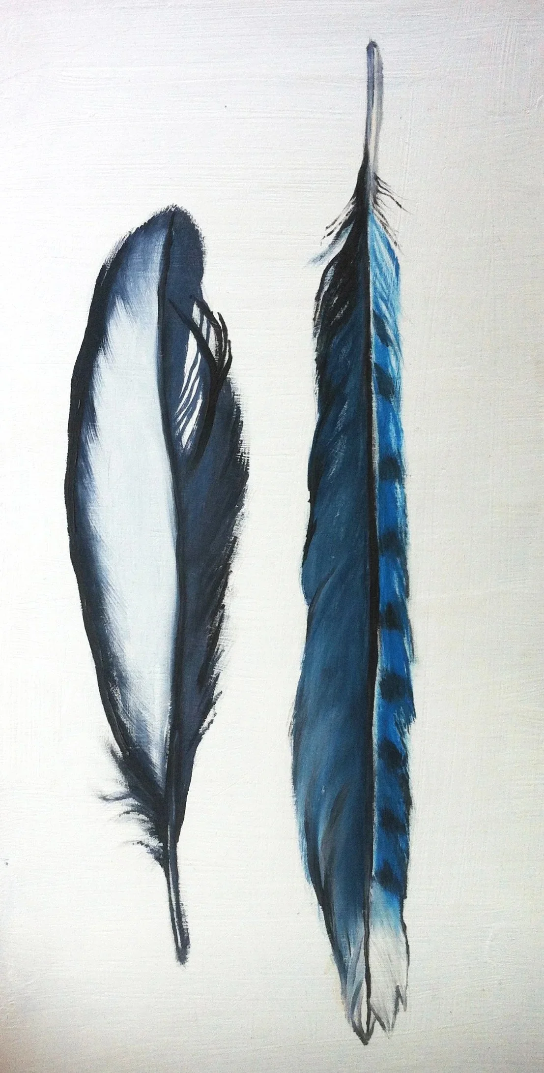 feather2.jpg