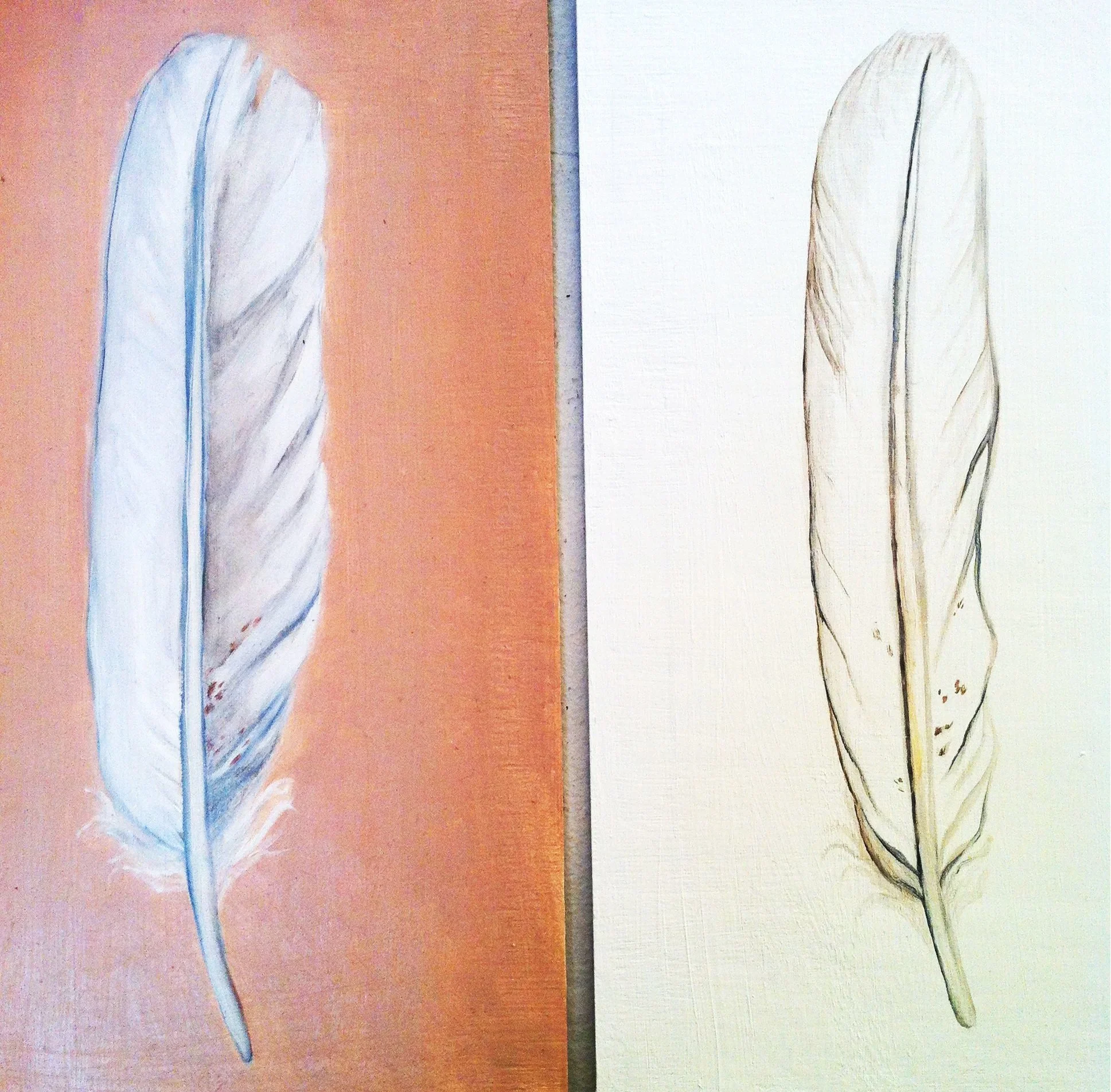 pinkwhiteeaglefeathers.jpg