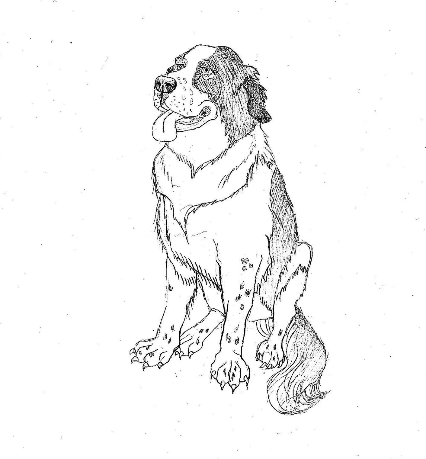 I always do an initial sketch with some shading and detail before I reduce down to the line work itself.

#drawingoftheday #drawingsketch #stbernard