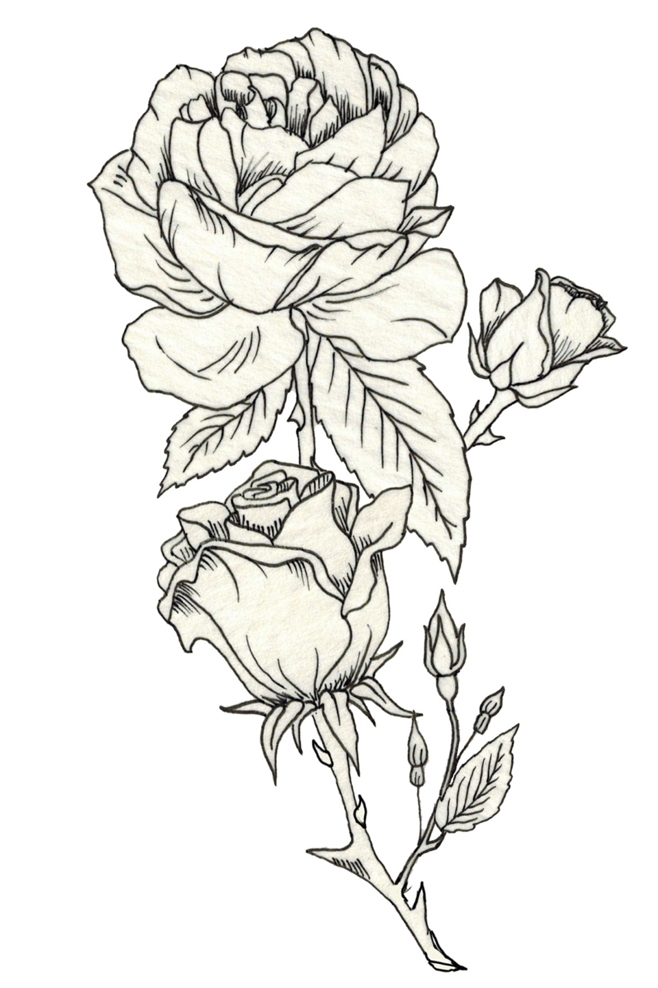 Screenshot 2026-01-17 at 10.19.43 PM.png