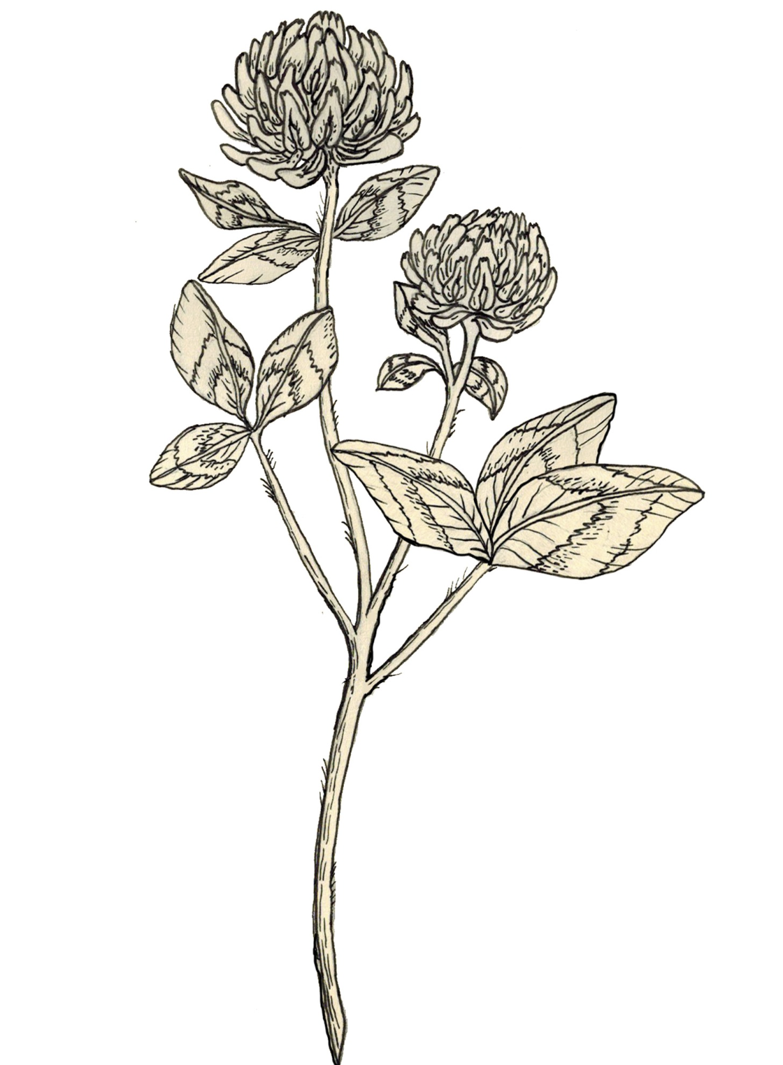 Screenshot 2026-01-17 at 10.19.52 PM.png