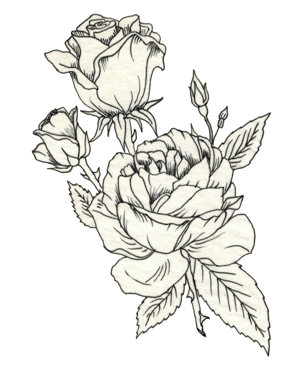 Screenshot 2026-01-17 at 10.20.01 PM.png