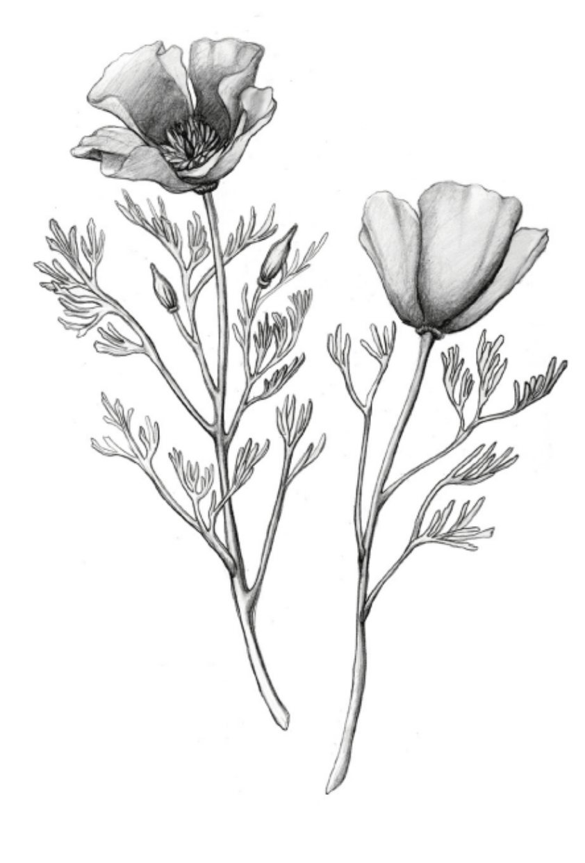 Screenshot 2025-12-20 at 2.10.13 PM.png