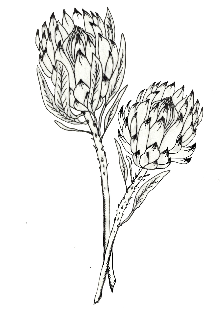 Screenshot 2026-01-17 at 10.19.19 PM.png