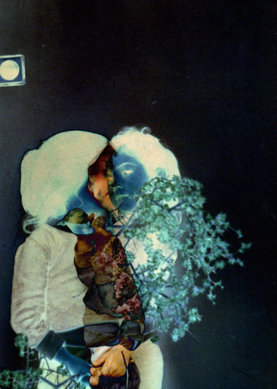 Spectral Days, C-print, dimensions variable, 2012. 3 + 1AP