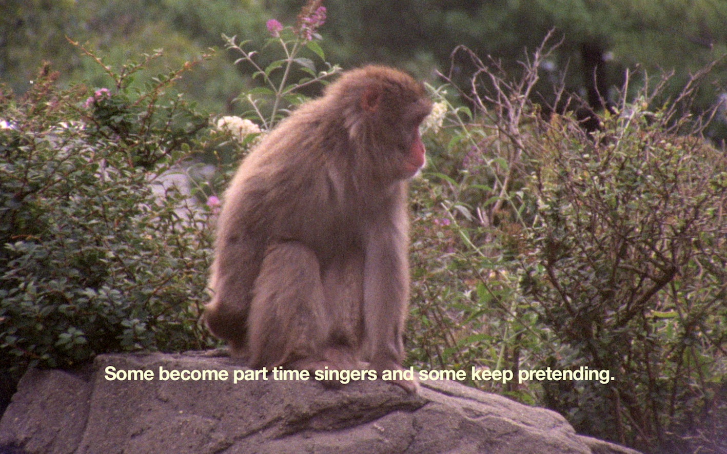 The Everyday Ritual of Solitude Hatching Monkey, 2014, Super 16 mm film transferred to Full HD, 13 min 22 sec