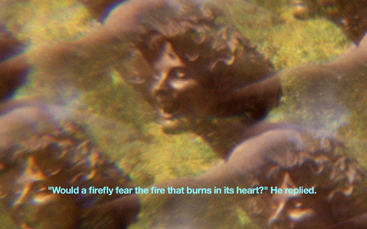 The Everyday Ritual of Solitude Hatching Monkey, 2014, Super 16 mm film transferred to Full HD, 13 min 22 sec