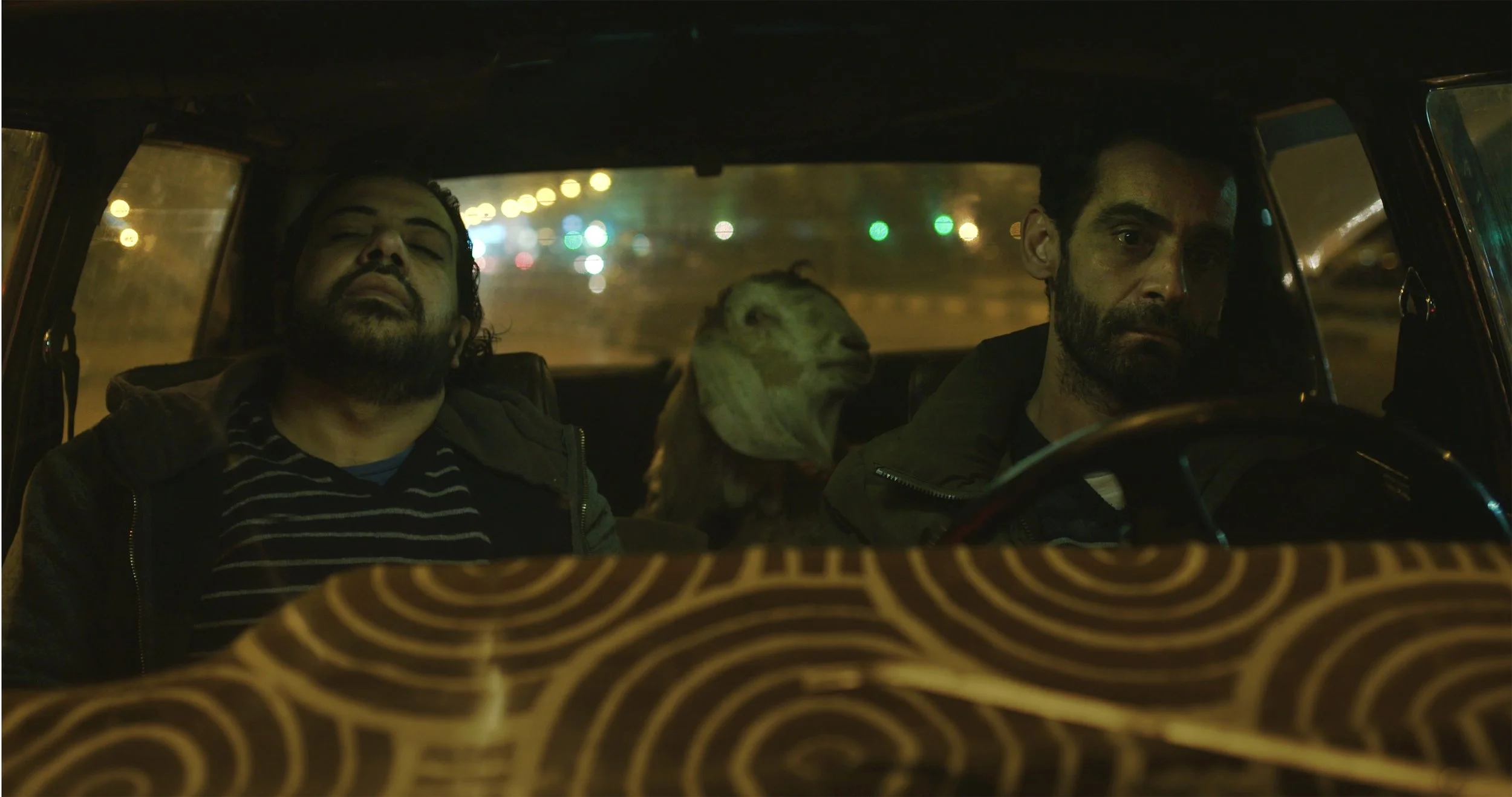 Dear Animal, 2016, single channel video, 24 min.