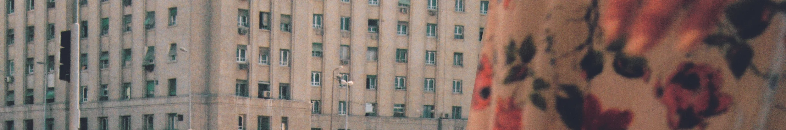 Cairoscapes, Untitled #4, 2003, 300 x 50 cm.