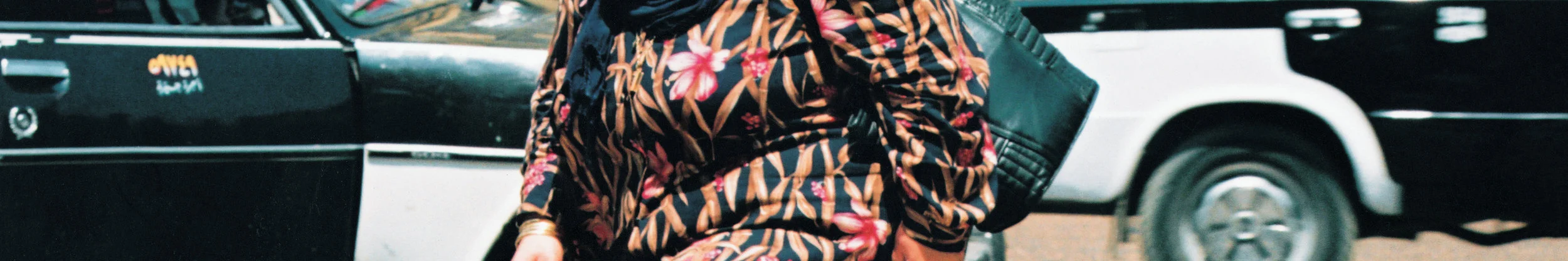 Cairoscapes, Untitled #6, 2003, 300 x 50 cm.