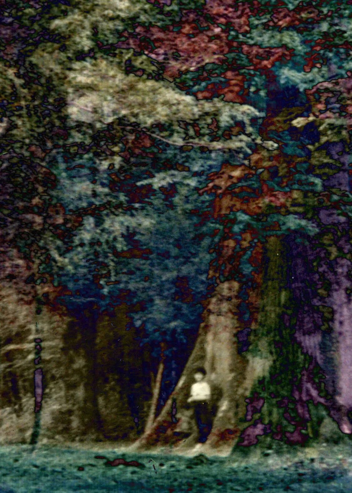 Spectral Days, C-print, 85 x 60 cm, 2013.