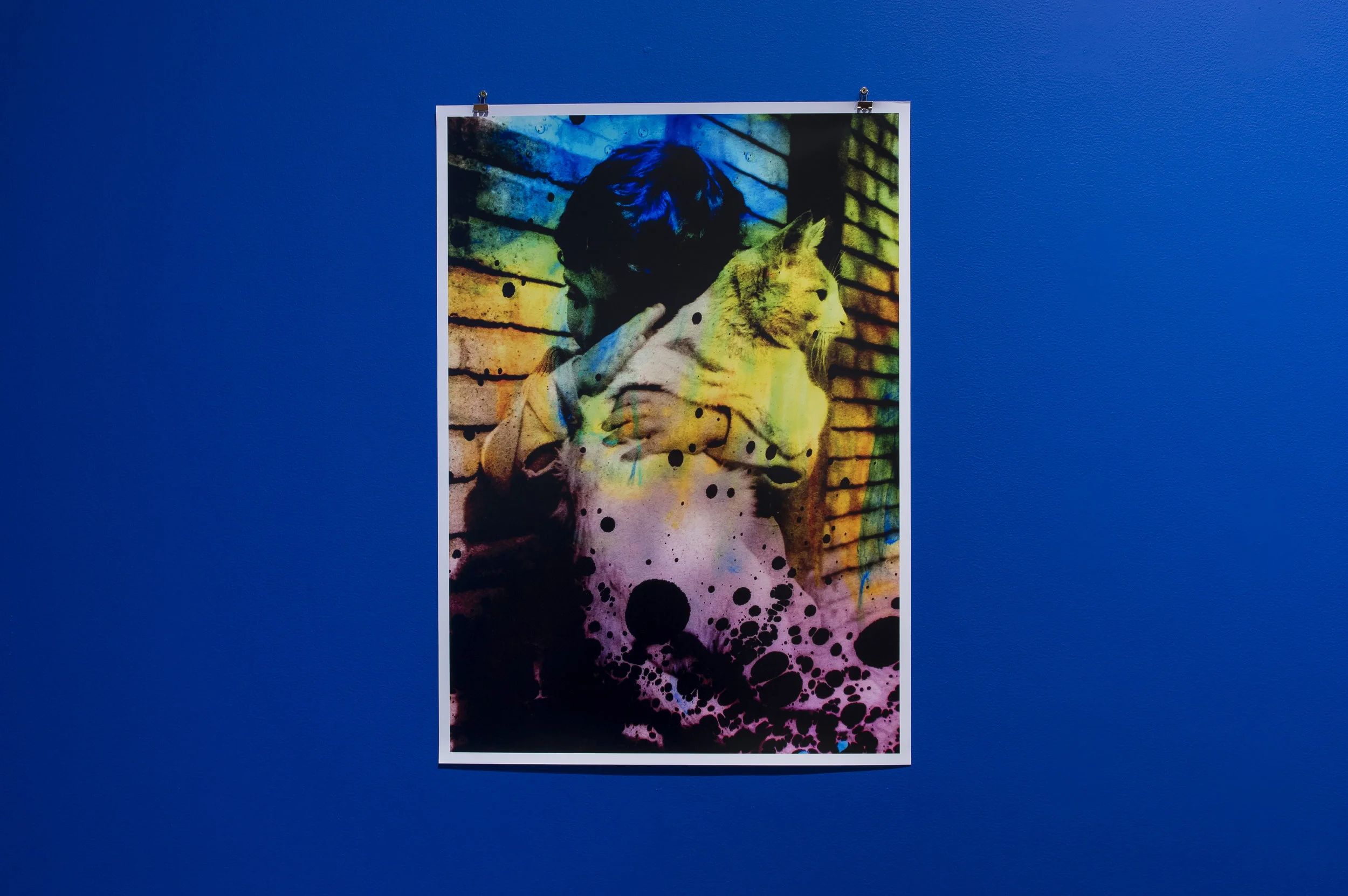 Installation shot from the exhibition Comfort Zone (Home) 2019, at VCU Gallery, Doha