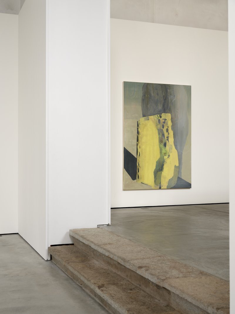 The dog no longer remembered the night in the woods , 2021, acrylic and oil on cotton, 210 x 150 cm.