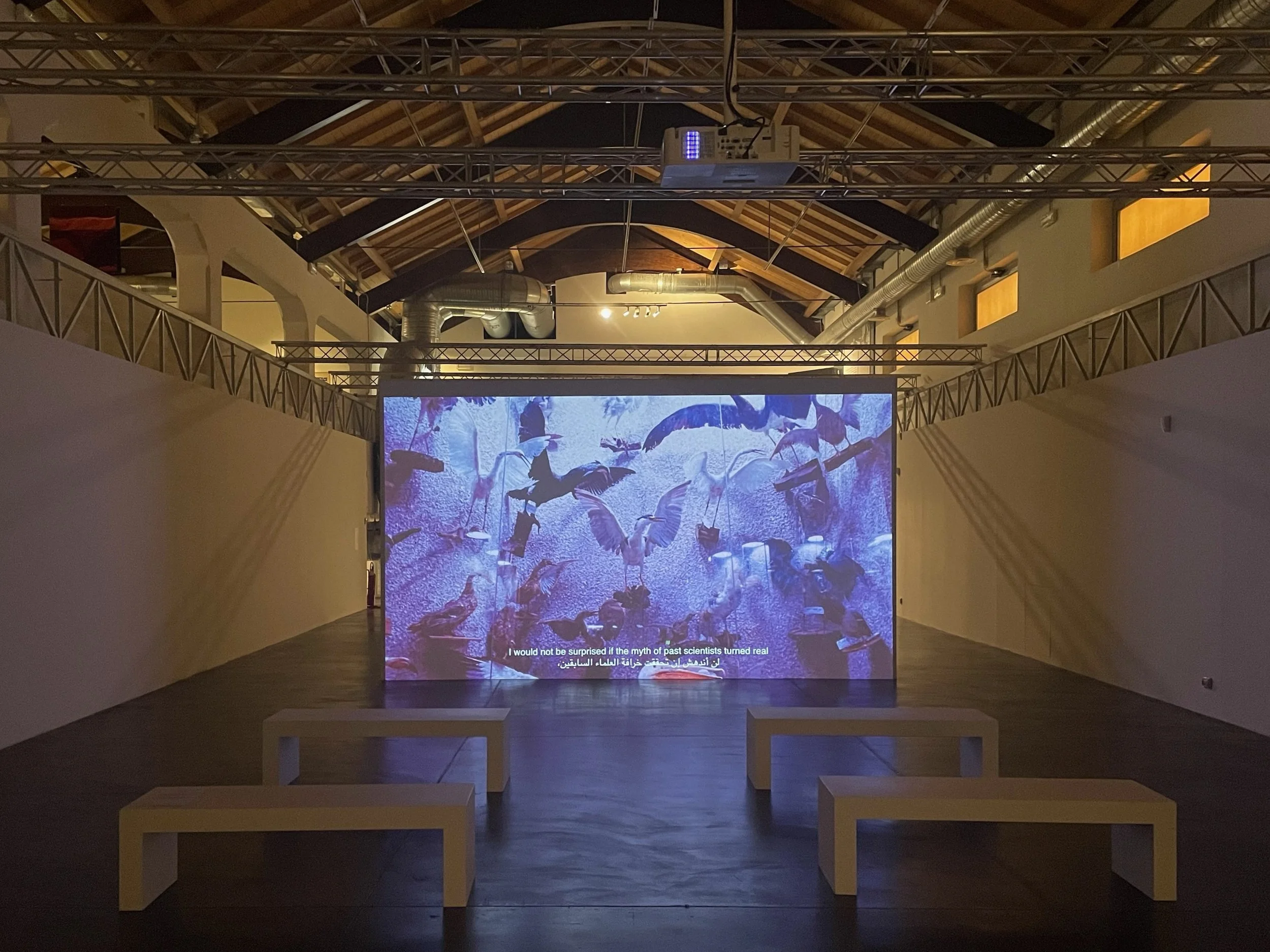  Installation view from Gamec Museum, Bergamo   What things may come , 2019, HD Film, 13 minutes 30 seconds 