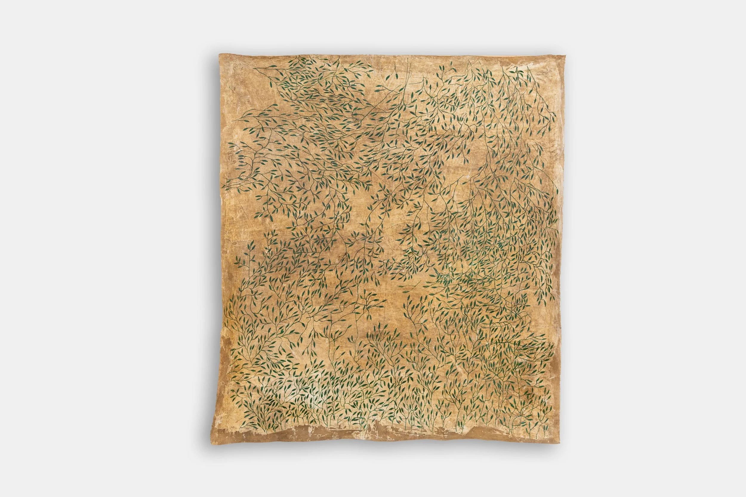 MOP_0157 copy.jpg
